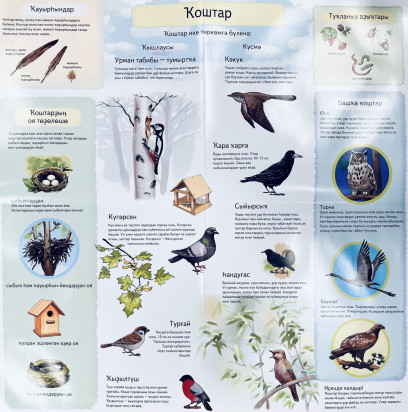 Животные и птицы